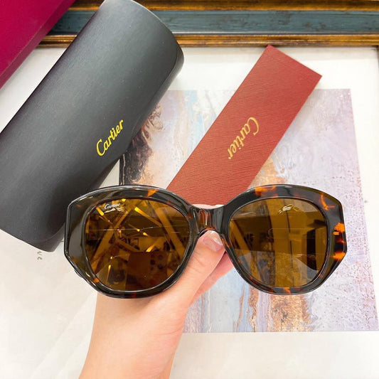 Oversized Tortoise Sunglasses